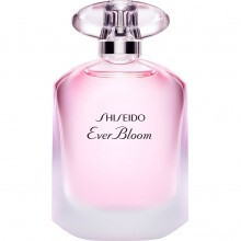 شیسیدو اور بلوم ادو تویلت